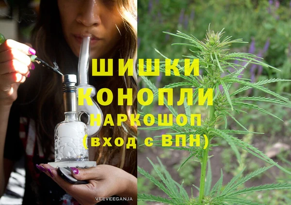 МДПВ Алексин