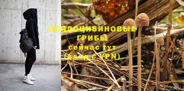твердый Алзамай