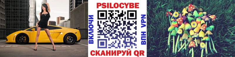 Галлюциногенные грибы Psilocybine cubensis  Новороссийск 